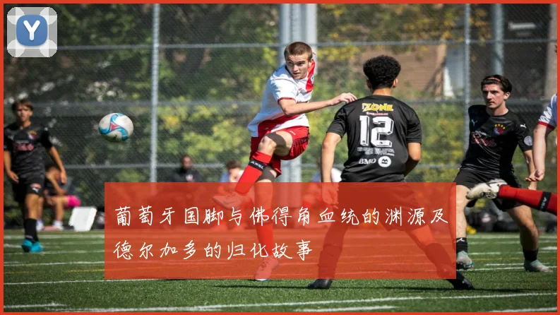 葡萄牙国脚与佛得角血统的渊源及德尔加多的归化故事