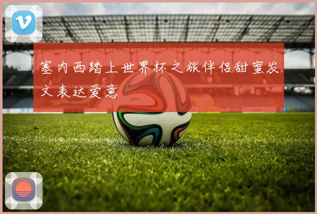 塞内西踏上世界杯之旅伴侣甜蜜发文表达爱意