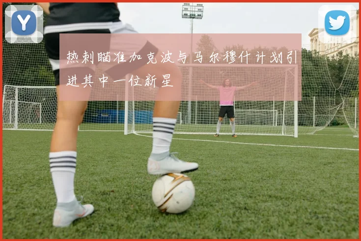 热刺瞄准加克波与马尔穆什计划引进其中一位新星